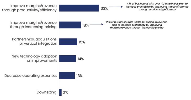 Strategy for Increasing Profitability